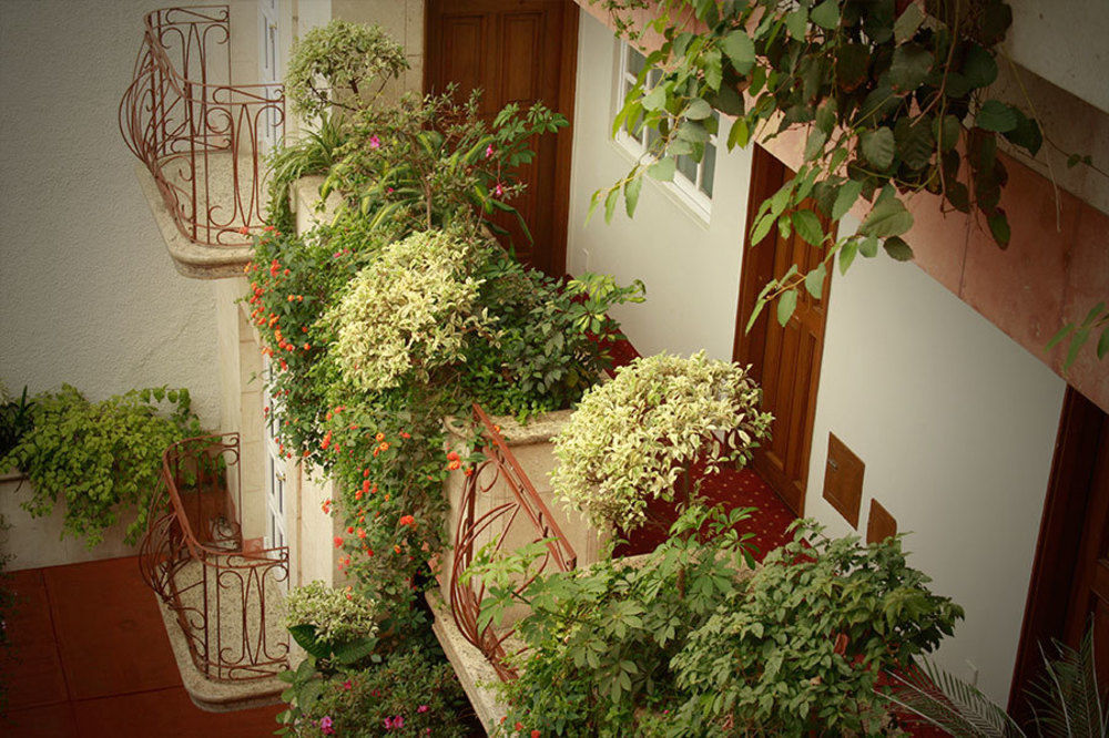 Hotel Santa Maria Мехіко Екстер'єр фото